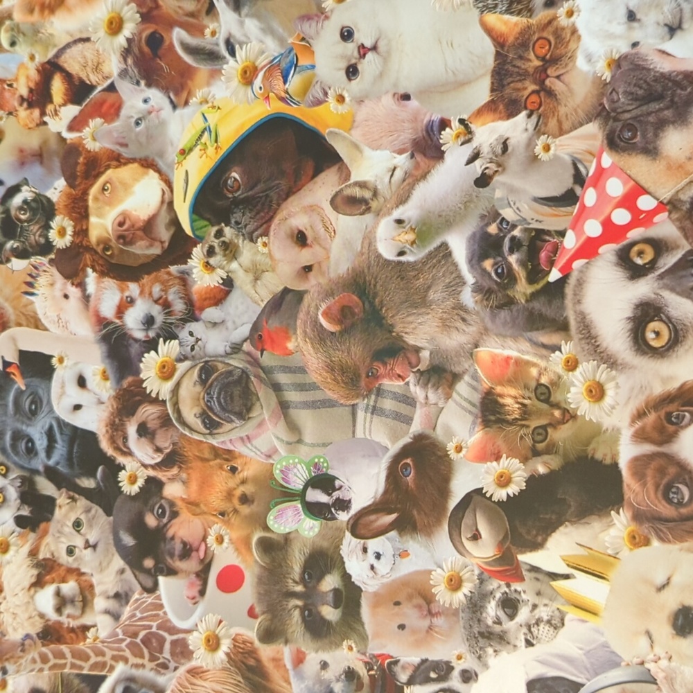 Jigsaw puzzle with cute animals 500 pieces